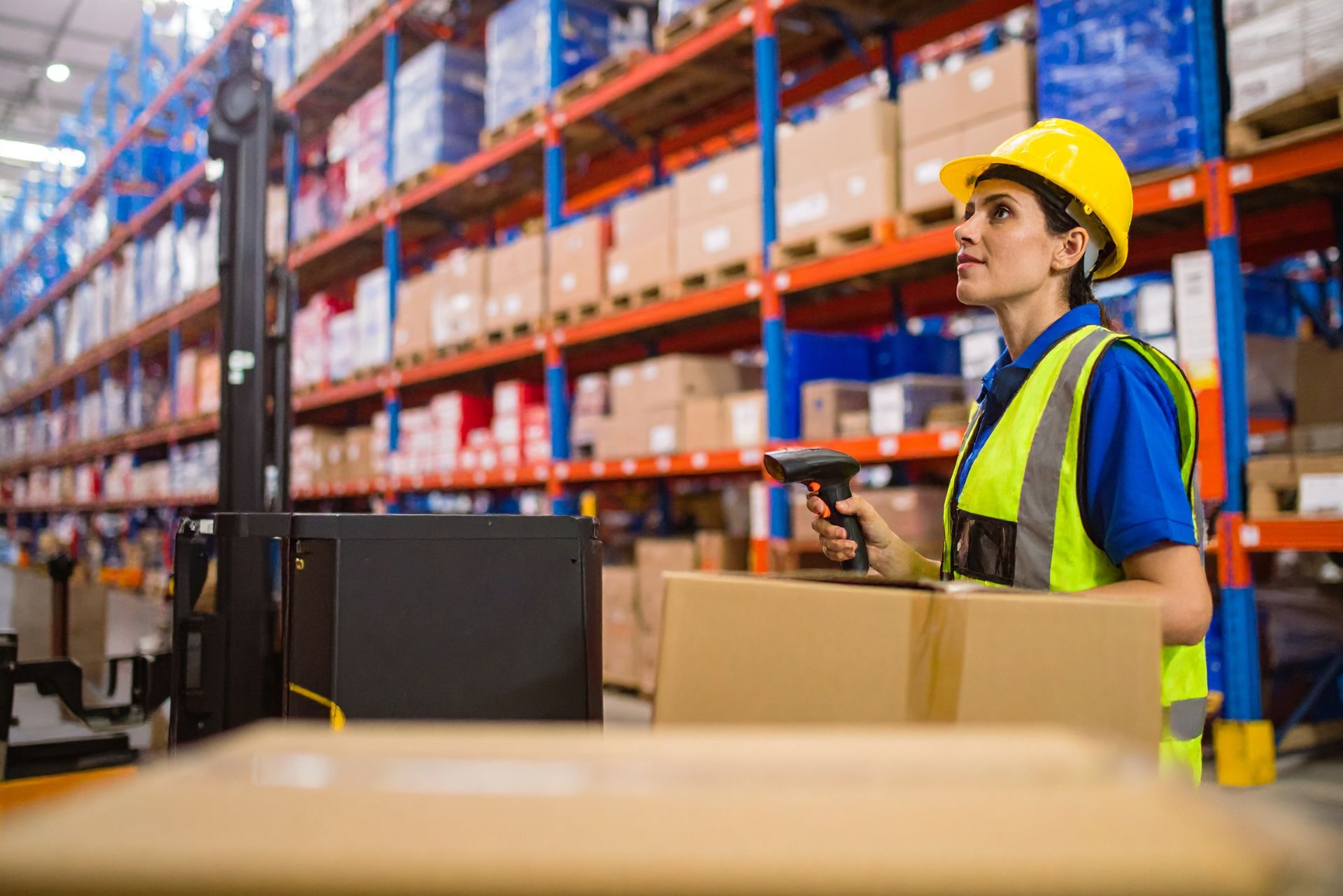 Flexible Packaging & Distribution